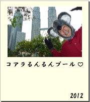 2012 コアラるんるんプール ♡